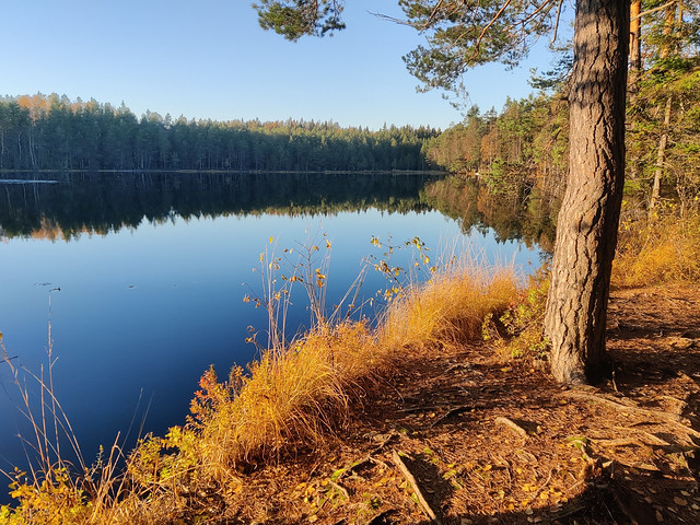Lake Storträsk in the end of October (Helsinki, Sipoonkorpi national park, 20231029)