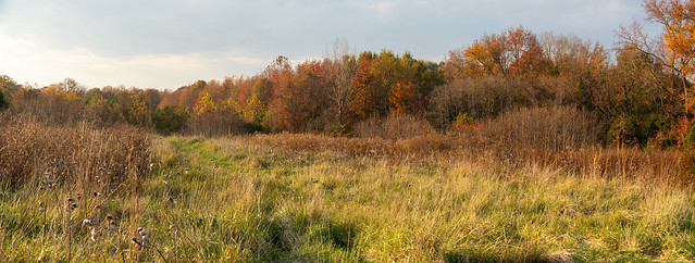View of the meadow near the park entrance