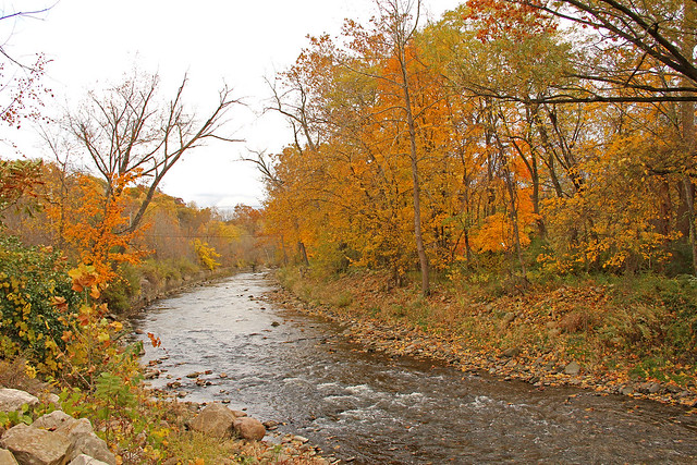Autumn Along Tinkers Creek