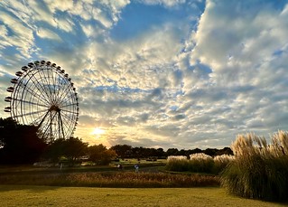 Ferris Wheel in Hitachi Seaside Park