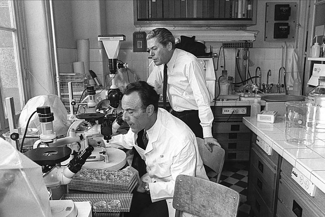 Doing STEM 031 - Jacob and Monod at the Pasteur Institute - 1971