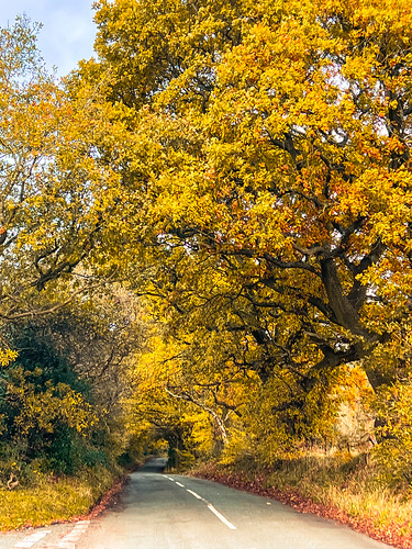 Burntwood | by cattan2011