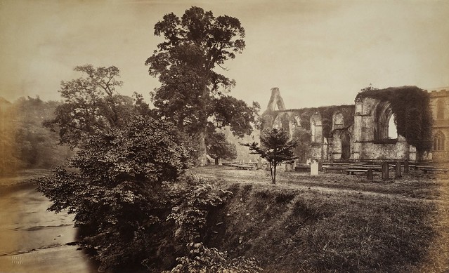 Frith - Bolton Abbey