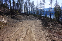 New logging spot SR605022