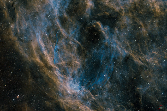 Supernova Remnant G82.2+05.3 or W63