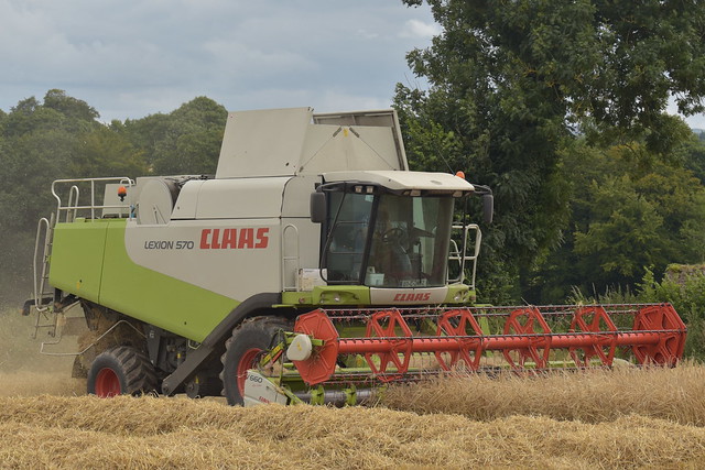 Claas Lexion 570 Combine Harvester cutting Winter Barley