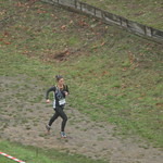 cross-ASFI-23-419