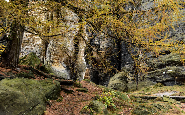 Nationalpark Böhmische Schweiz: Tyssaer Wände