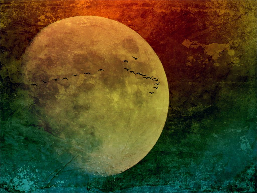Flight By The Moon