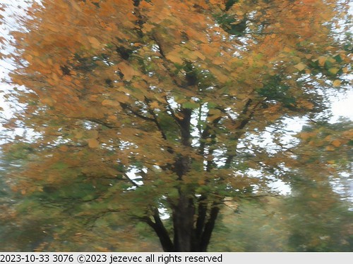 2023-10-33 3076 AI Fall & Autumn Illustration | by Jezevec40 (formerly Badger 23)
