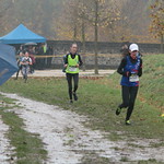 cross-ASFI-23-065