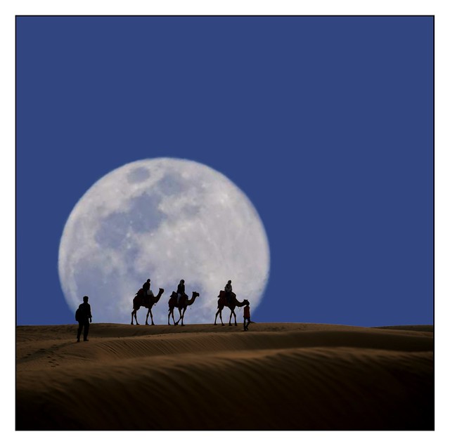 Moonrise in the Desert