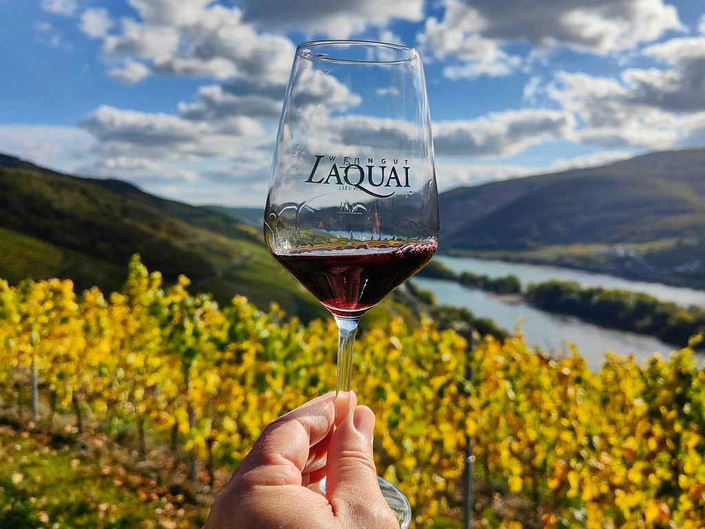 Rotweinprobe in den Weinbergen vom Weingut Laquai (Lorch)