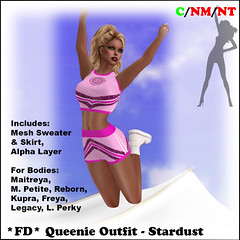 Fancy Dancer Queenie Outfit in Stardust