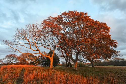 153A0229 Edit by Dan the Illuminator, marthasvineyard island clouds shadows twilight sunset luminar4 canonef1740mmf4lusm 15fav topv111 510
