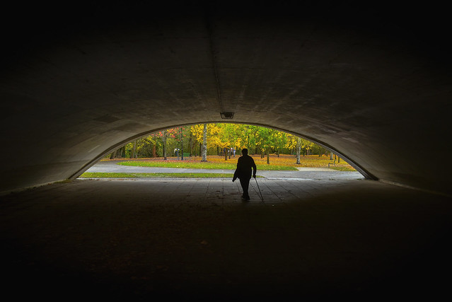 Hacia la luz del otoño