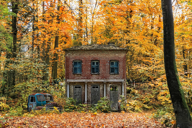 Old Farmhouse in Autumn Woods