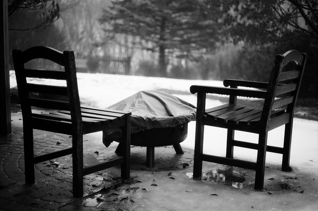 The backyard in winter. Lomography Belair and Cinestill XX