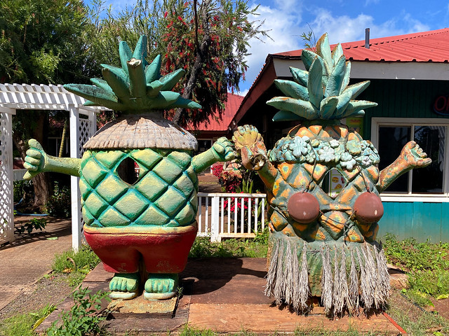 pineapple partners