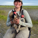 20230720-FS-ND-chugach-Dusky_banding-0009 Wildlife technician with the Cordova Ranger District posing with her first dusky Canada goose that she banded and gave a neck collar on the Copper River Delta. USDA Forest Service photo by Nick Docken