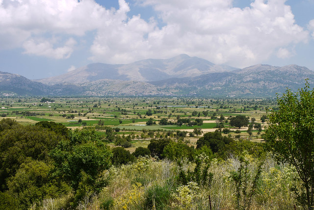 Greek Plateau