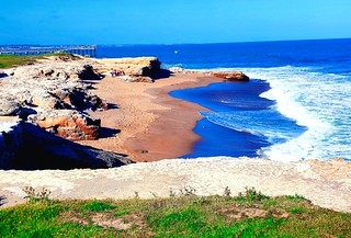 Wild Coast of Miramar Argentina .🌊