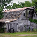Rockvale Barn Along Rockvale Rd. (Old TN99).

About once a year as I drive the back roads, I fall in love with a barn.  This has a little of everything - moss, vines, a roof rusting in different colors, and a tractor tire.