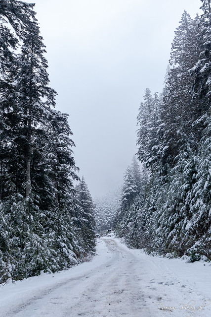 Snow Bush Road @ Fraser Valley (PB1_6796-Wm)