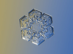 Snowflake 2022-12-08_4788-96