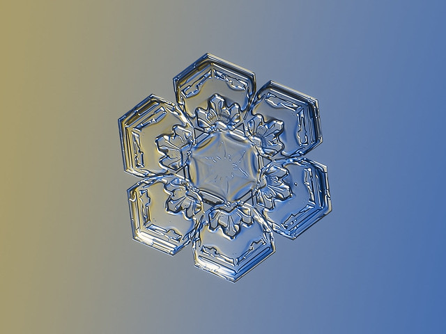 Snowflake 2022-12-08_4788-96