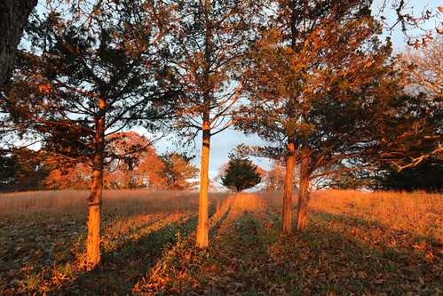 153A0224 by Dan the Illuminator, marthasvineyard island twilight sunset shadows canonef1740mmf4lusm 15fav topv111 510fav 1025fav topv
