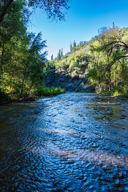 Aravaipa Creek trail