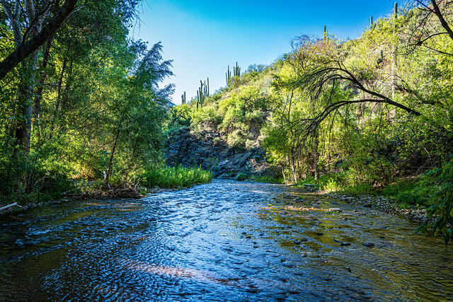 Aravaipa Creek trail