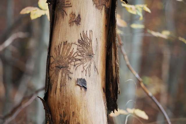 Herbstwald - Baum-Tattoo