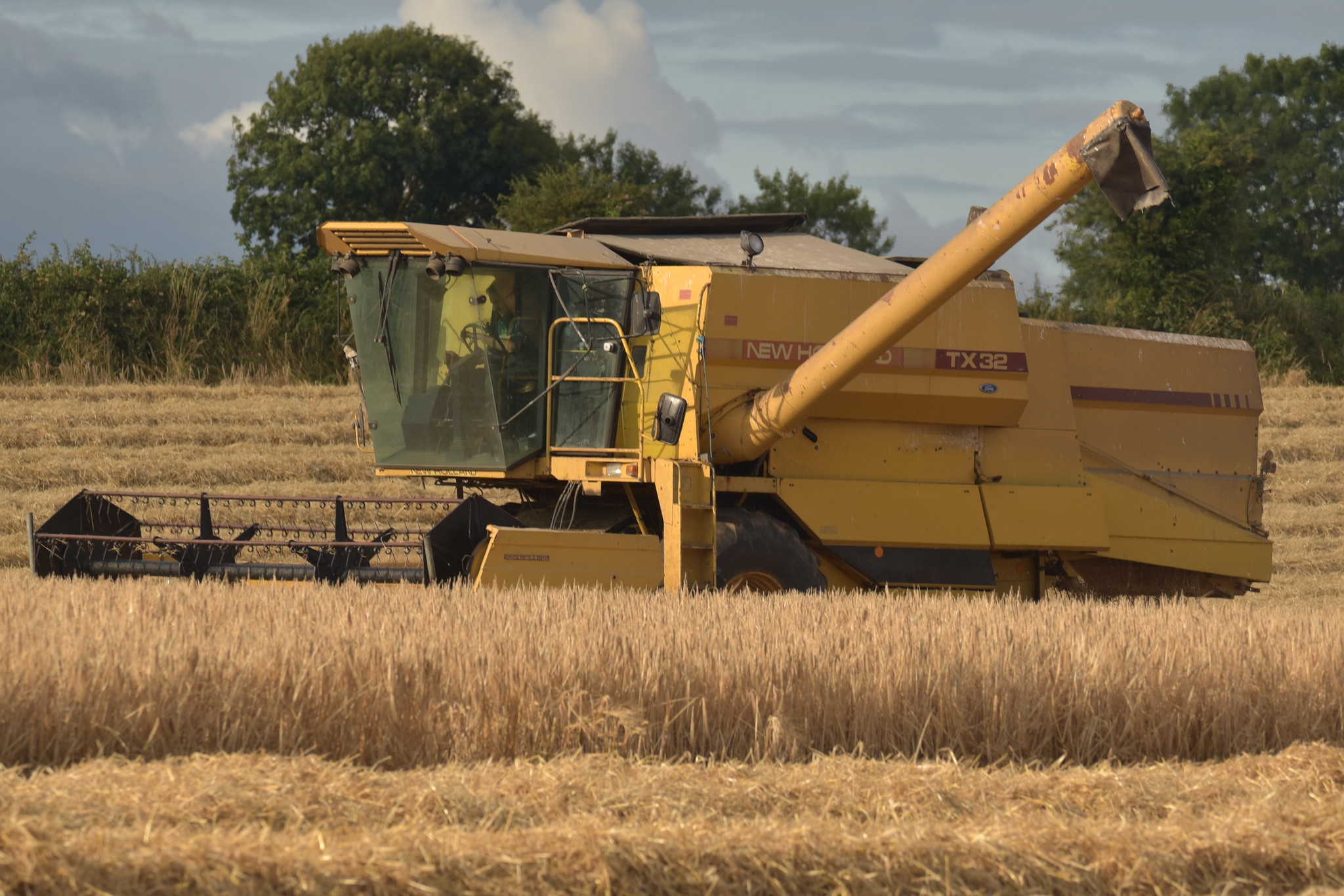New Holland TX32 Combine Harvester cutting Winter Barley