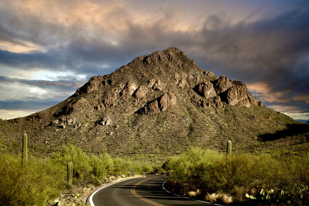 Saguaro National Park, Arizona