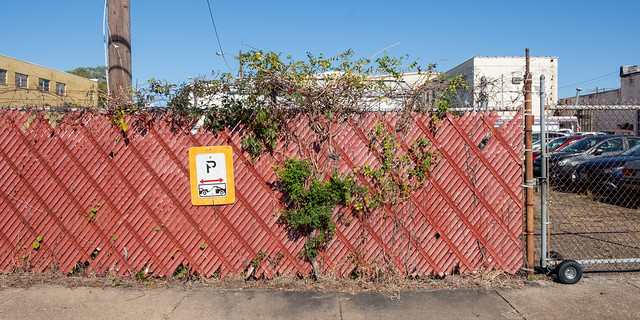 In Newport News a chainlink fence of plantlife and privacy slats.