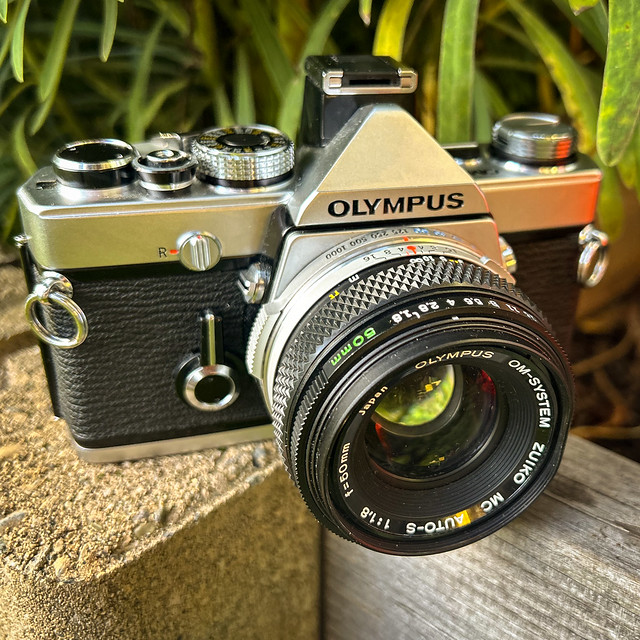 My Olympus OM-1n