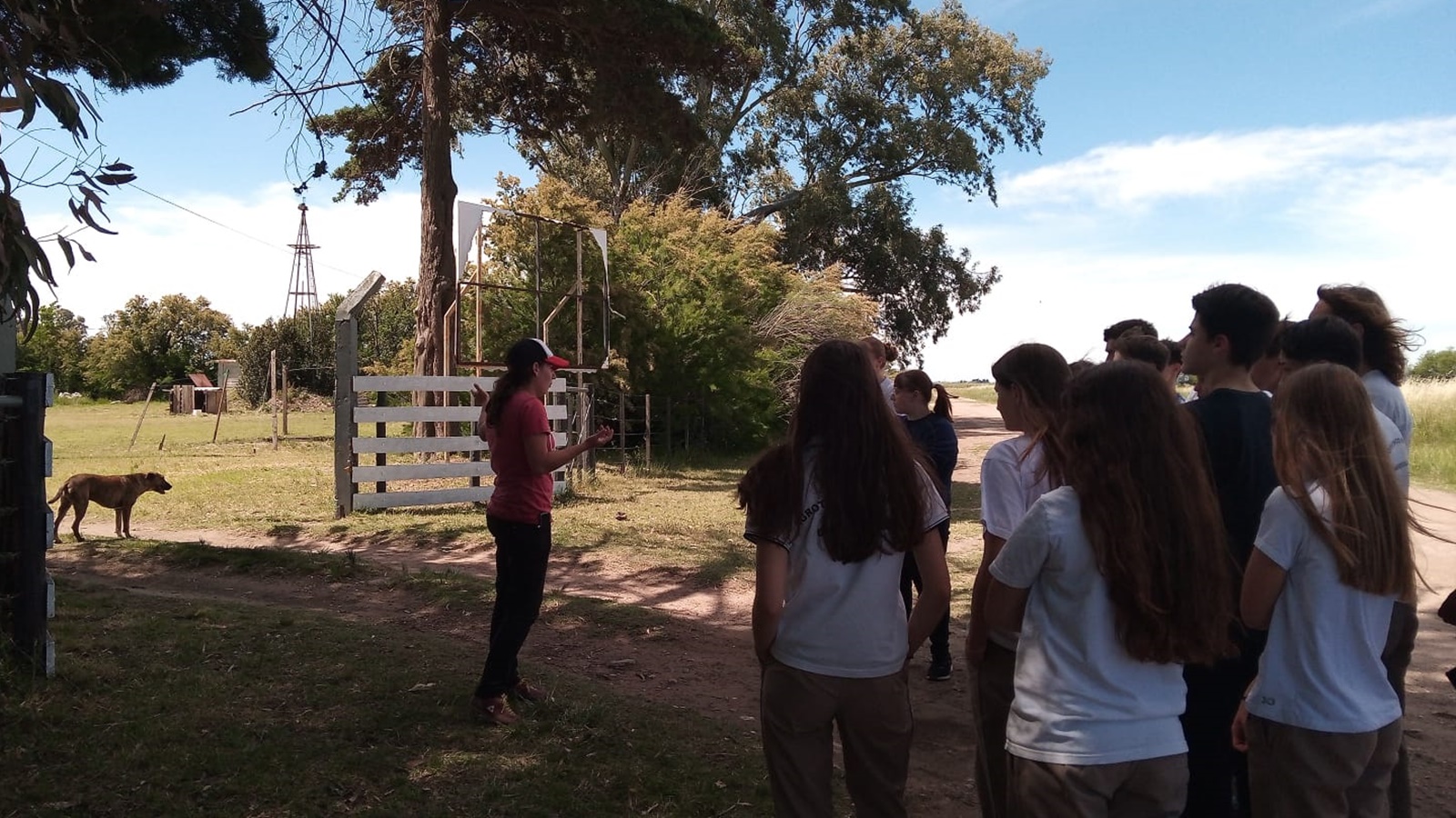 Alumnos de 3º año del ISJO de Darregueira construyeron cuchas para el refugio canino de Bordenave