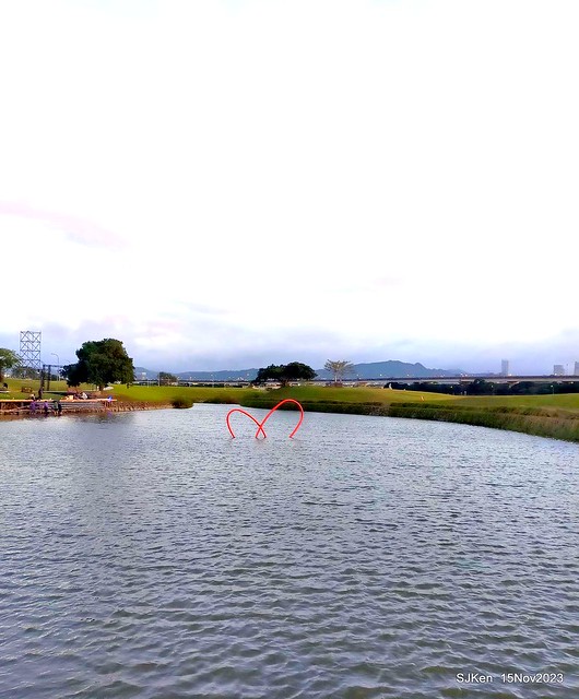 2023.11.15 美堤河濱公園花海 Flower sea at Meiti Riverside Park, Nov 15, 2023, SJKen, Taipei, Taiwan.