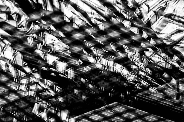 Fenster 7 – abstrakt Schwarz Weiß Kunst Fotografie
