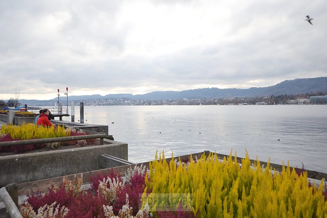 zurich city tour zurich lake