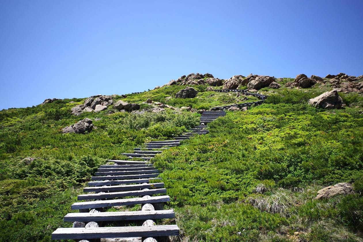 【尾瀬】至仏山　階段が続く登山道