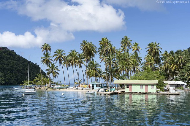 Palmuja ja veneitä Marigot Bayllä Saint Lucian saarella