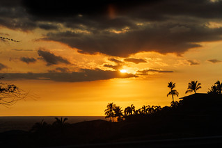 Golden Tropical Sunset