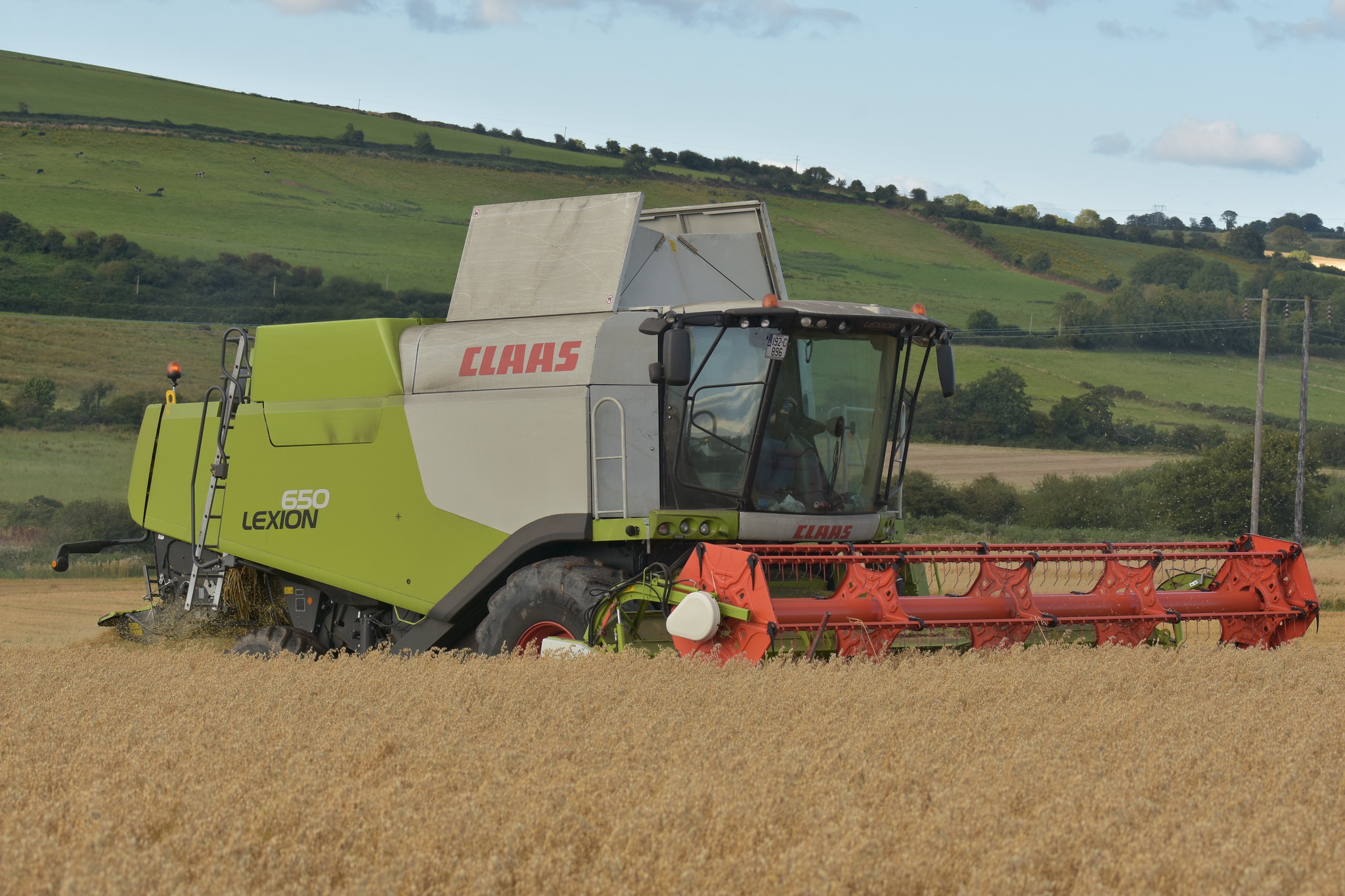 Claas Lexion 650 Combine Harvester cutting Spring Oats