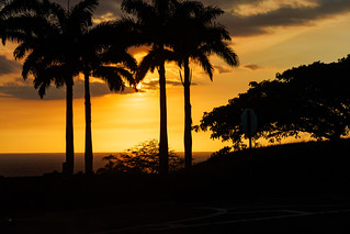 Golden Tropical Sunset