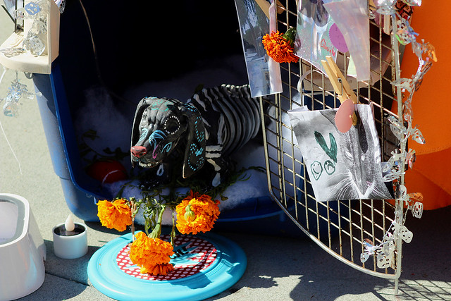 Another Ofrenda for Crossing Over the Rainbow Bridge