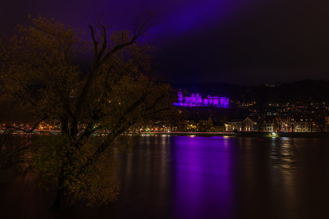 Heidelberg@„Purple for Preemies