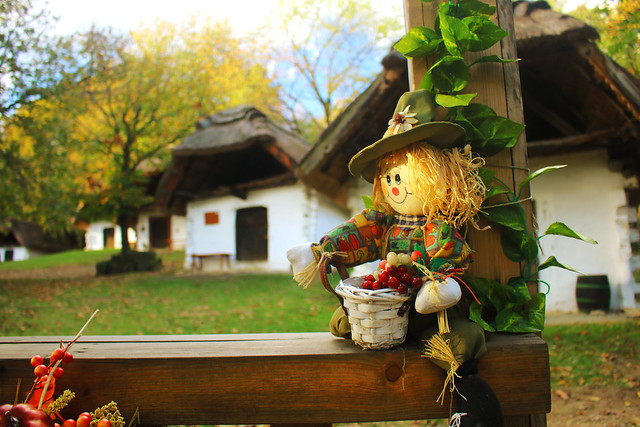 Rural autumn 🎃 / Vidéki ősz 🎃
